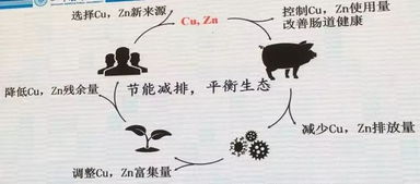 温故知新 2017年太阳鸟与颐和论坛上的工业植物提取前瞻